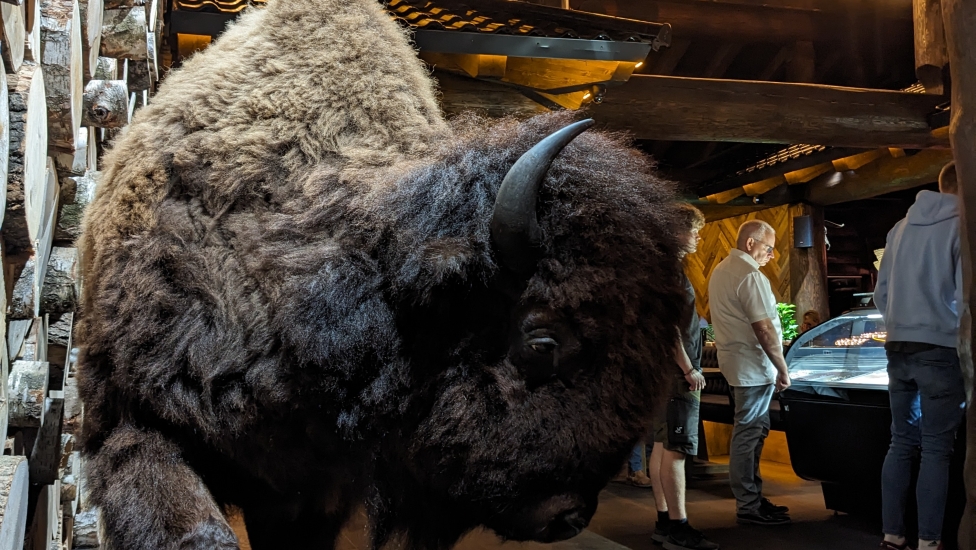 PXL_20230817_195431500.MP